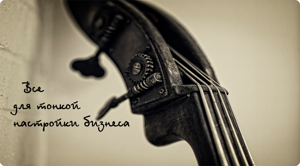 iDIGOnizer - простая и удобная CRM на настройки бизнеспроцессов